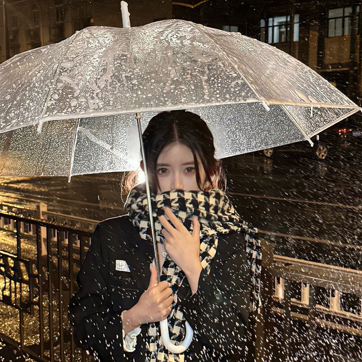 绅士爱美人封面